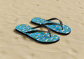 Palm Tree Flip Flops- Palm Trees of Venice